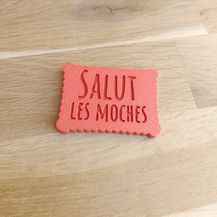 Salut les moches