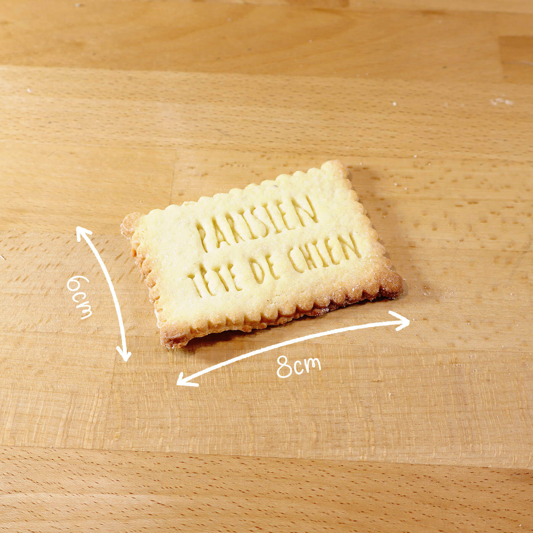 Parisien, tête de chien – Image 2